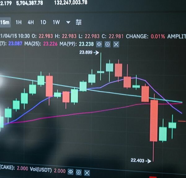 Maximize Your Marketing 660195675 Online Platform